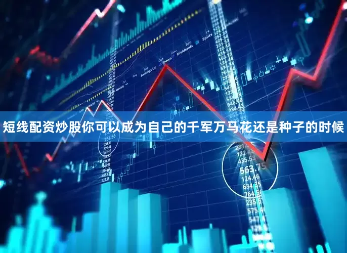 短线配资炒股你可以成为自己的千军万马花还是种子的时候