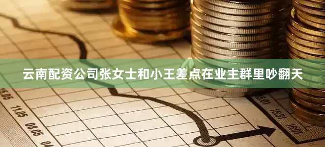 云南配资公司张女士和小王差点在业主群里吵翻天